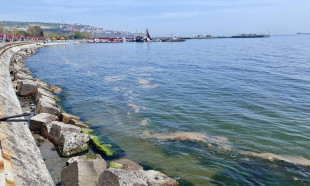 Marmara Denizi'nde yeniden müsilaj tehlikesi