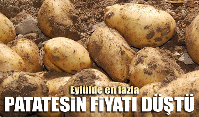 Eylülde en fazla patatesin fiyatı düştü