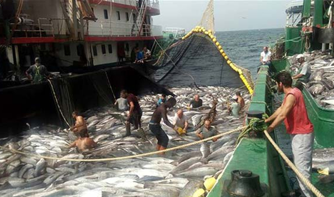 Karadenizli balıkçılar okyanusa açıldı