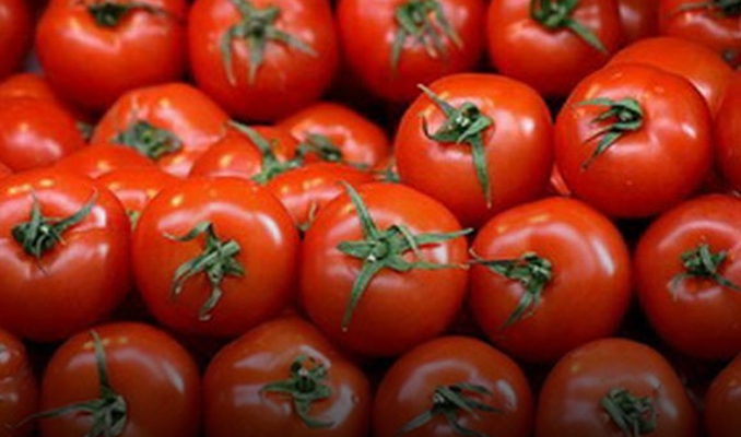 Rusya, Türk domatesinin kotasını arttırabilir