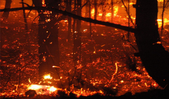 Meteoroloji'den orman yangını uyarısı