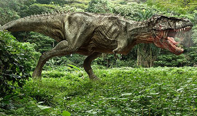 Dinozor soy ağacının 'geçiş türü' bulundu