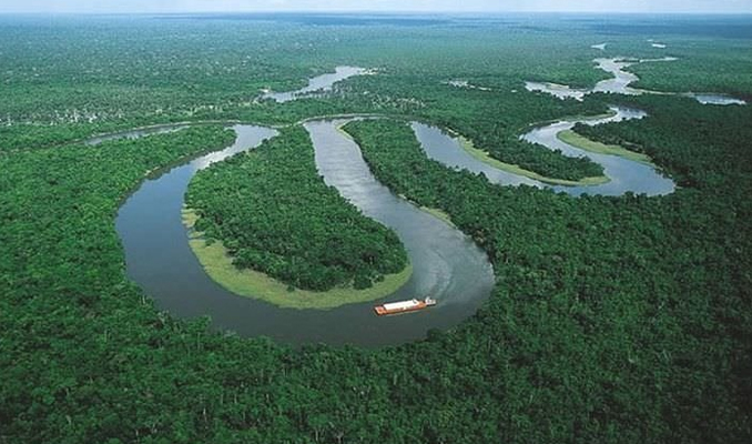 Amazon'daki maden talanına mahkeme engeli