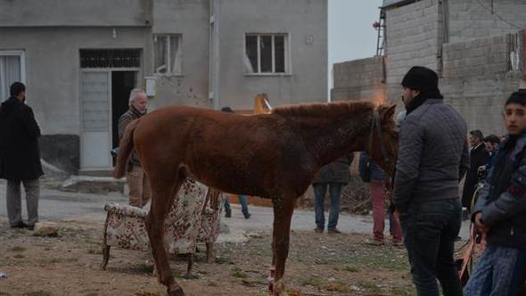 Afrin'den atılan roket Kilis'te bir ahırı vurdu