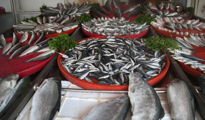 Fırat'ın balıkları ihraç ediliyor