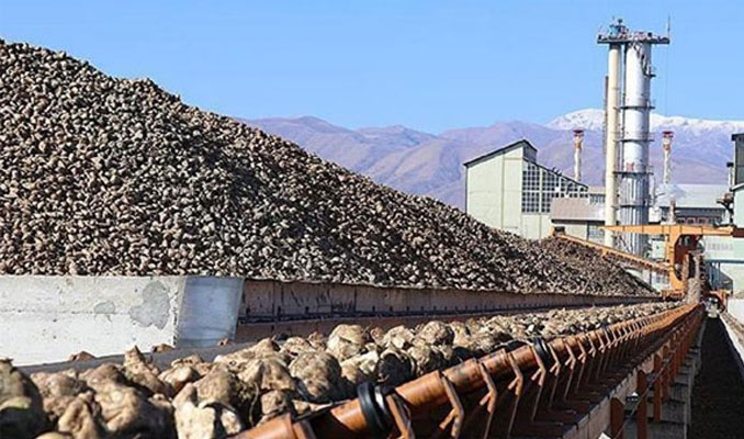 İşte Erzurum ve Erzincan şeker fabrikalarının ihale sonuçları