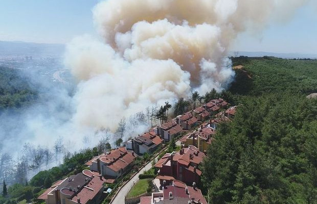 Bursa, İznik ve Antalya'da yangın 