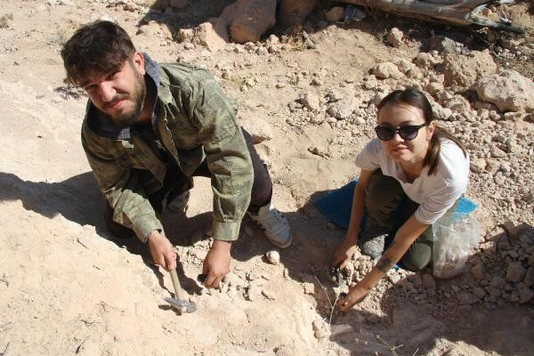 Kayseri'de 8 milyon yıllık yeni fosiller bulundu