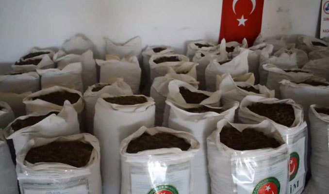 İstanbul'da operasyon: 185 kilo kokain ele geçirildi