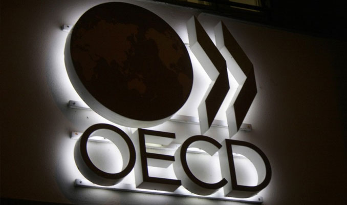 OECD'den çarpıcı Türkiye analizi