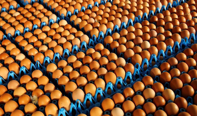 Irak'ın ithalatını durdurduğu yumurtanın üretimi azaldı