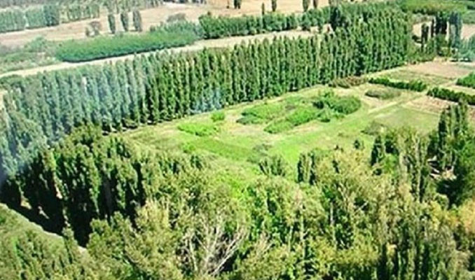 TOKİ'den Atatürk Orman Çiftliği açıklaması