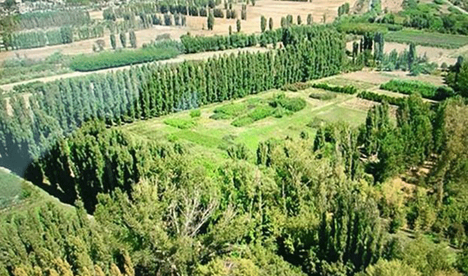 Yargıdan Atatürk Orman Çiftliği’ni kurtaracak karar