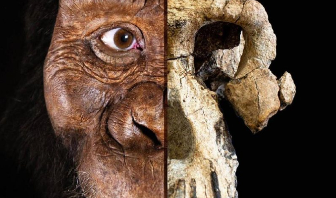 Bilim insanları ilk insanın neye benzediğini buldu