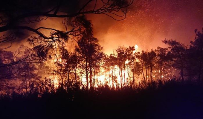 Muğla'da yıldırım sonrası orman yangını