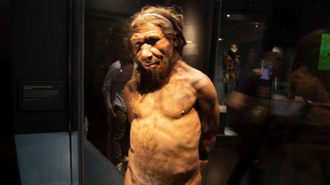 Bilim insanları: Neandertaller yüzebiliyor ve dalabiliyordu