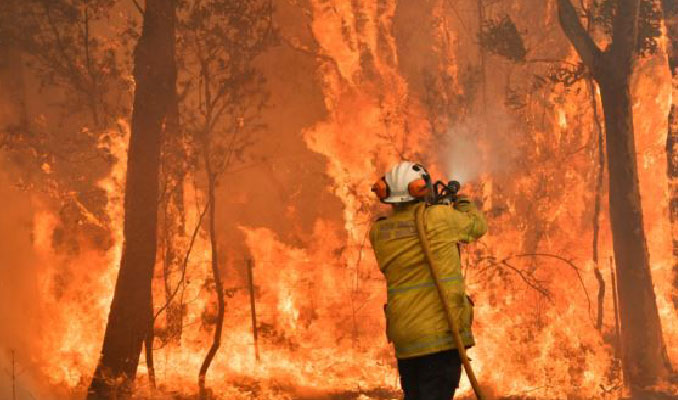 Avustralya'da yangınların acı bilançosu... 