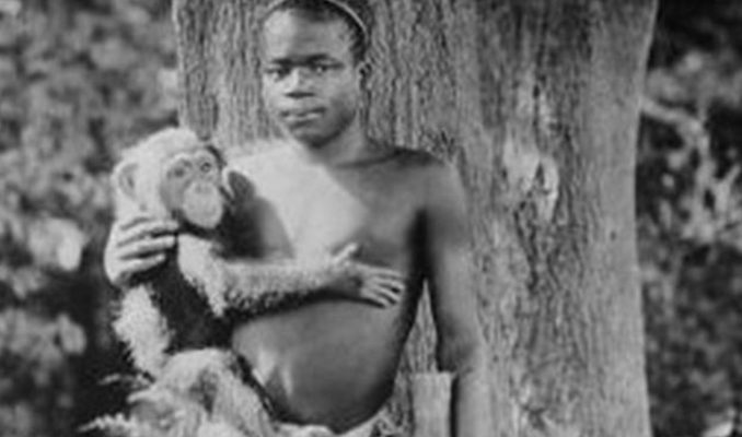 ABD’de 114 yıl sonra 'Afrikalıyı maymunlarla sergileme' özrü