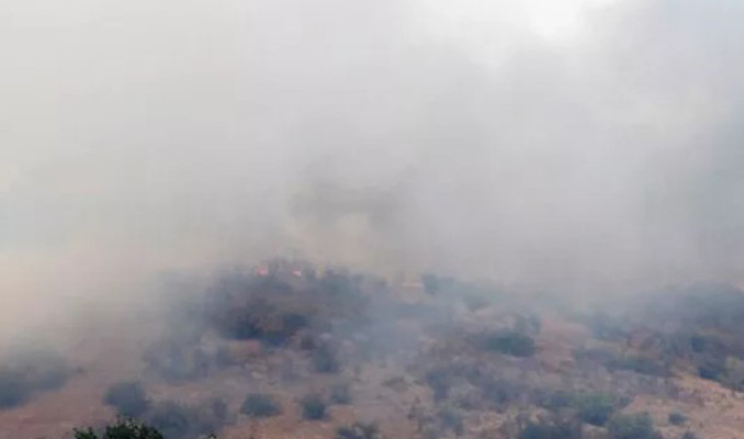 Bulgaristan sınırındaki yangın 4 gün sonra söndürüldü