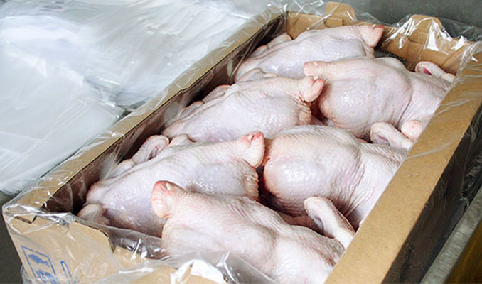 Çin'de dondurulmuş tavuklarda korona virüs tespit edildi