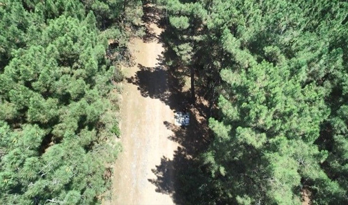 Aydos Ormanı'nda drone'la mangal denetimi