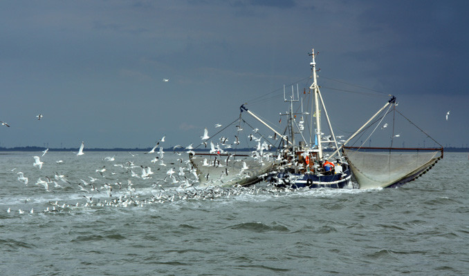 Balıkçılar av sezonuna umutla başlıyor