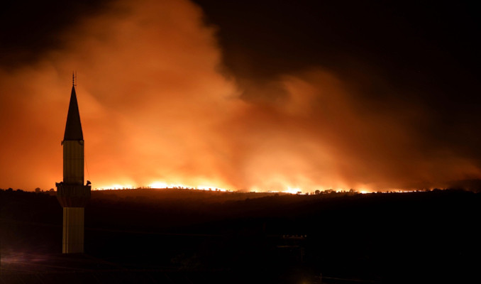 Bulgaristan'daki orman yangını Türkiye sınırına yaklaştı!