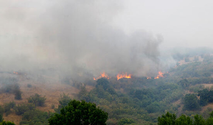 Bulgaristan'dan Türkiye'ye ilerleyen yangın kontrol altına alınamıyor