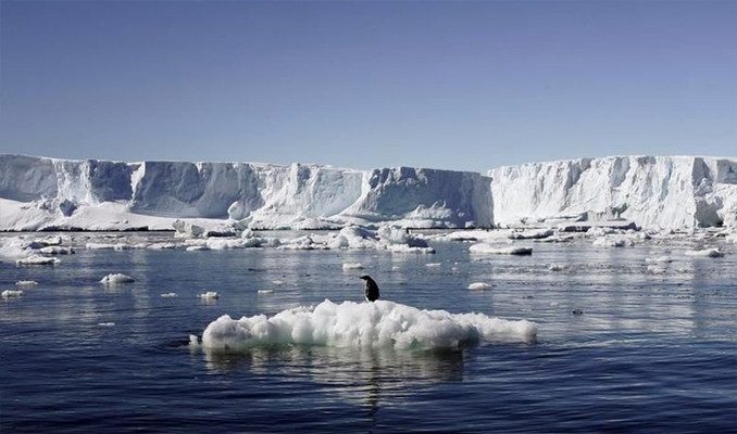 Bering Denizi'nde 5 bin 500 yılın en düşük seviyesi görüldü