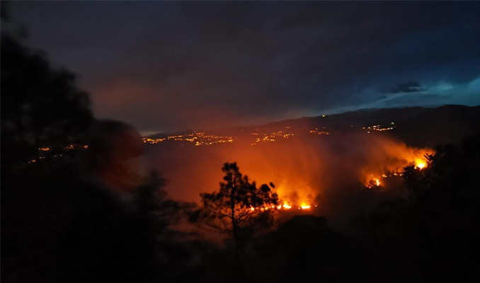 Trabzon'da 2 ilçede orman yangını 