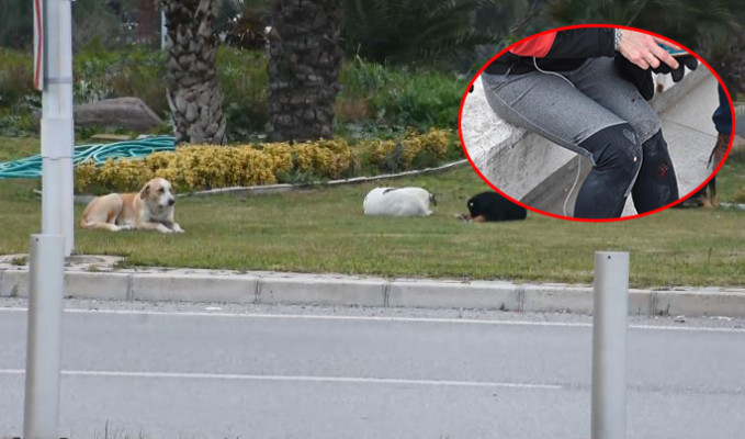 İzmir Kordon'da sokak köpeği dehşeti