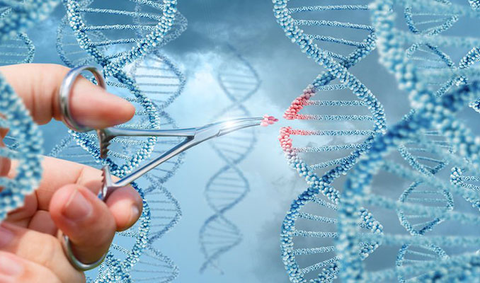 Yaşlanmayı geciktirebilecek gen tedavisi geliştirildi