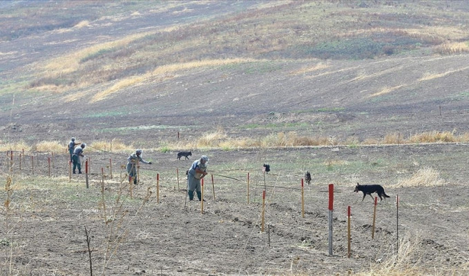 Azerbaycan, işgalden kurtarılan bölgelerde tarım parkları kuruyor