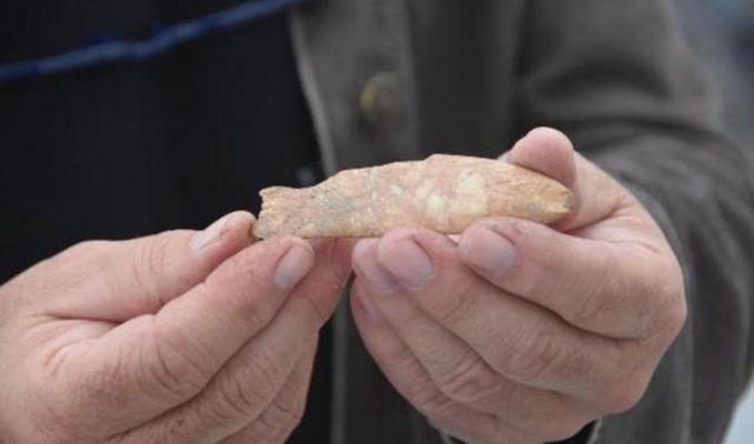 8 bin yıl öncesine ait 'balık' figürü
