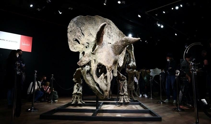 Dünyanın en büyük dinozor fosili Paris'te rekor fiyata satıldı