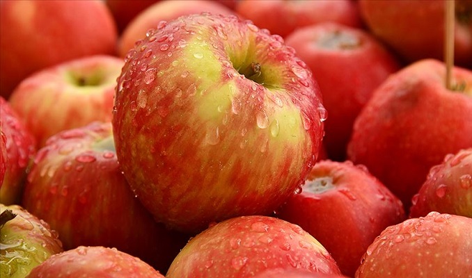 Türkiye'nin elma ihracatı 9 ayda yüzde 65 arttı