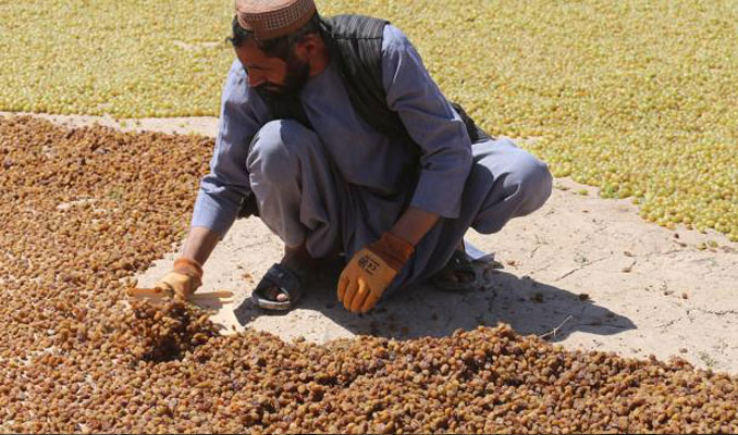 BM: Afganistan'da 14 milyon kişinin gıda güvenliği yok