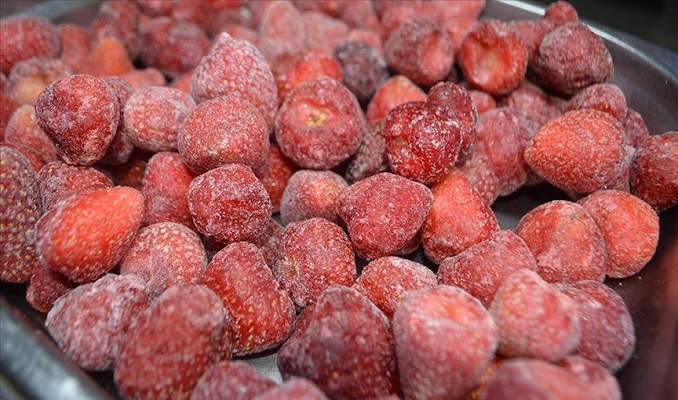 Afyonkarahisar'dan 30 ülkeye dondurulmuş meyve ihracatı