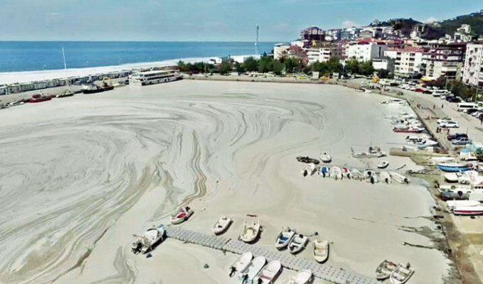 Marmara Denizi'nde organik atıklardan enerji üretilecek