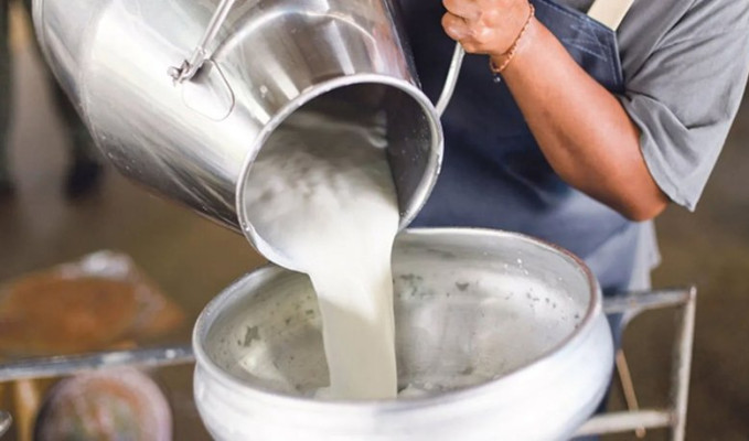 Ulusal Süt Konseyi, çiğ sütte satış fiyatı revizyonu için toplanacak