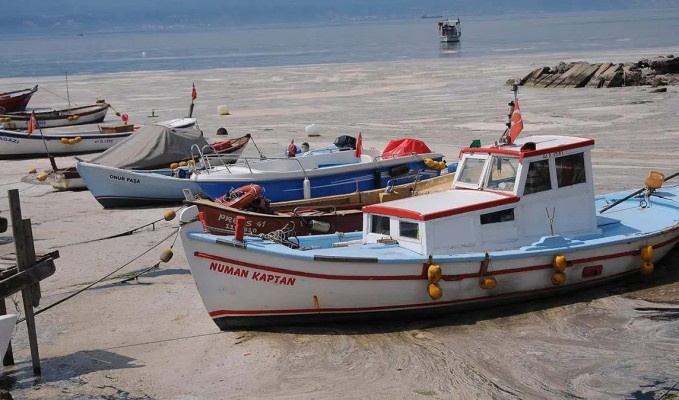 Müsilaj mağduru balıkçalara verilecek destek 2 katına çıkartıldı