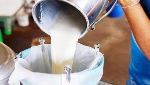 Süt üreticisi isyanda: Boşa çalışıyoruz!