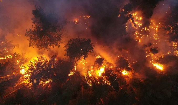 Haftalardır süren yangında 3 bin 900 hektarlık alan kül oldu
