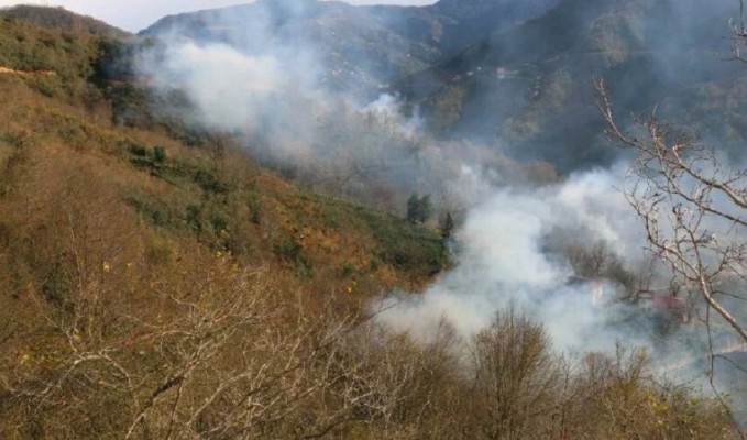 Trabzon'da 4 noktada orman yangını! Evler tahliye edildi