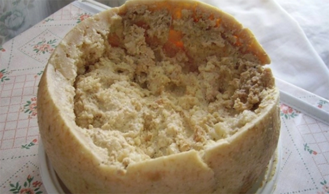 Dünyanın en tehlikeli peyniri casu marzu