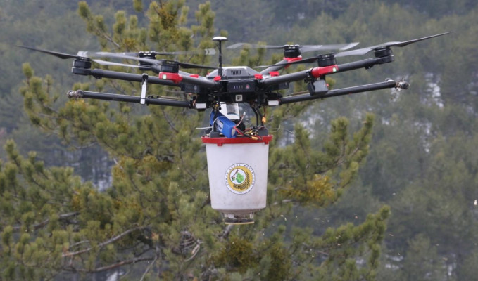 Ormanlarda dron teknolojisi