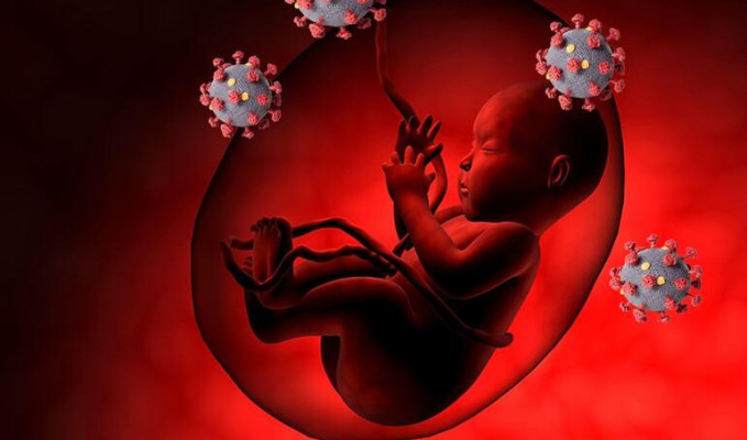 Korona virüs, anne karnında bebek ölümlerine neden oluyor mu?