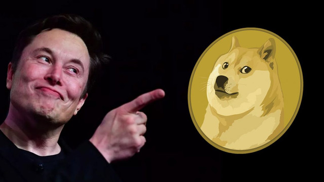 Elon Musk'ın ay turizminde Dogecoin geçerli