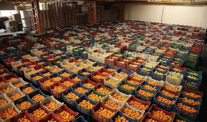 Yaş meyve ve sebze ihracatı arttı