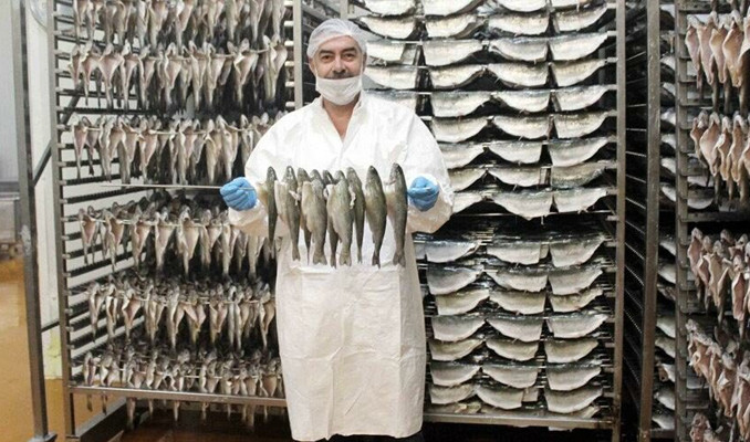 Denizli, balık ihracatında rekor kırıyor